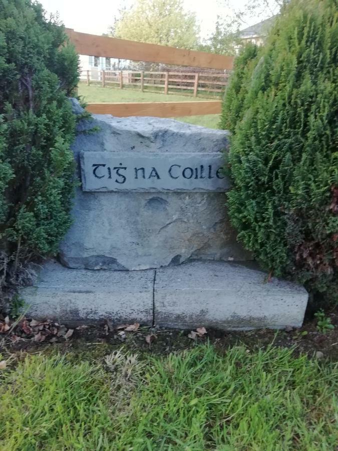 Country house Tig Na Coille Country House Kilkenny
