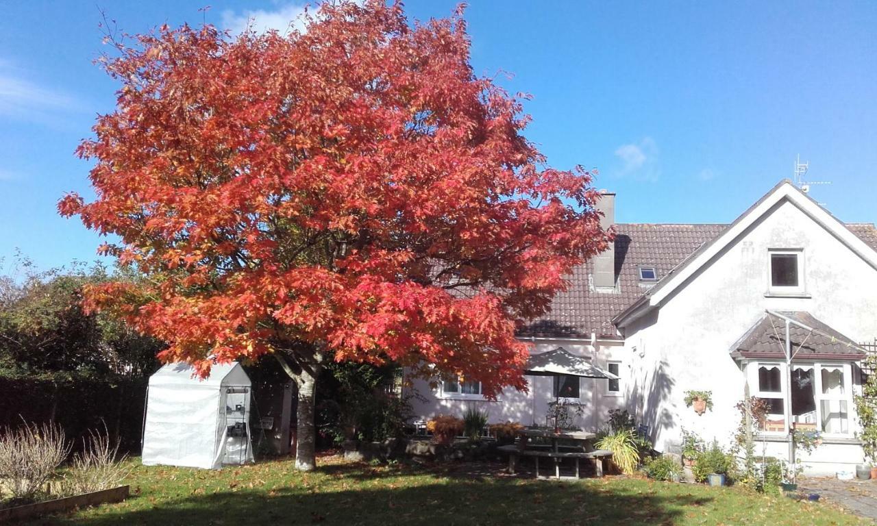 Twin Oaks Kilkenny