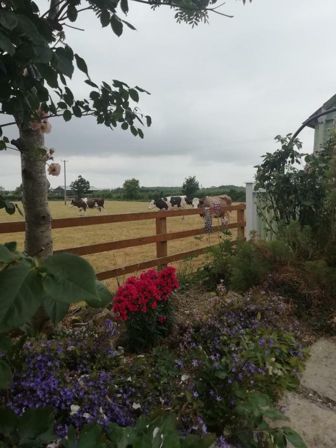 Tig Na Coille Country House Country house *