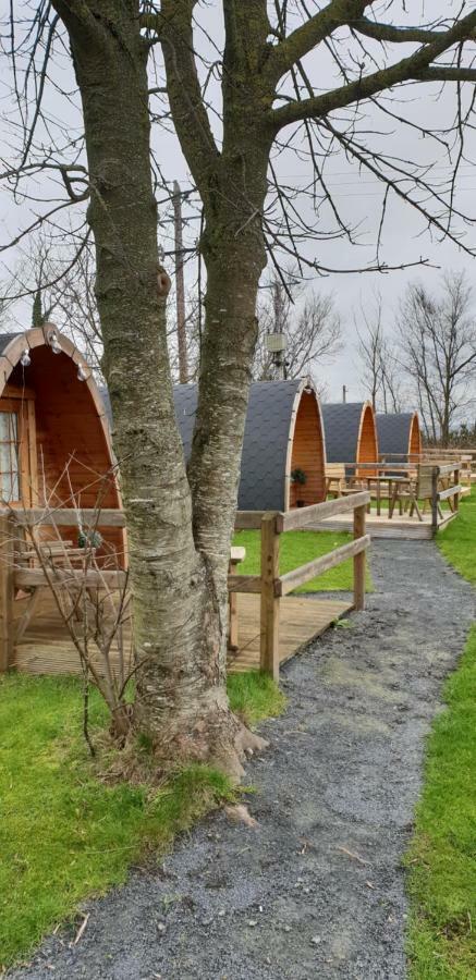 Glamping At Treegrove Kilkenny