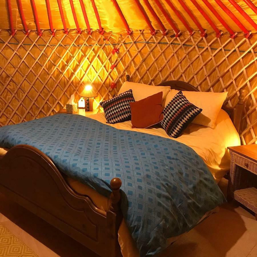 Mcclure Yurt At Carrigeen Glamping * Kilkenny