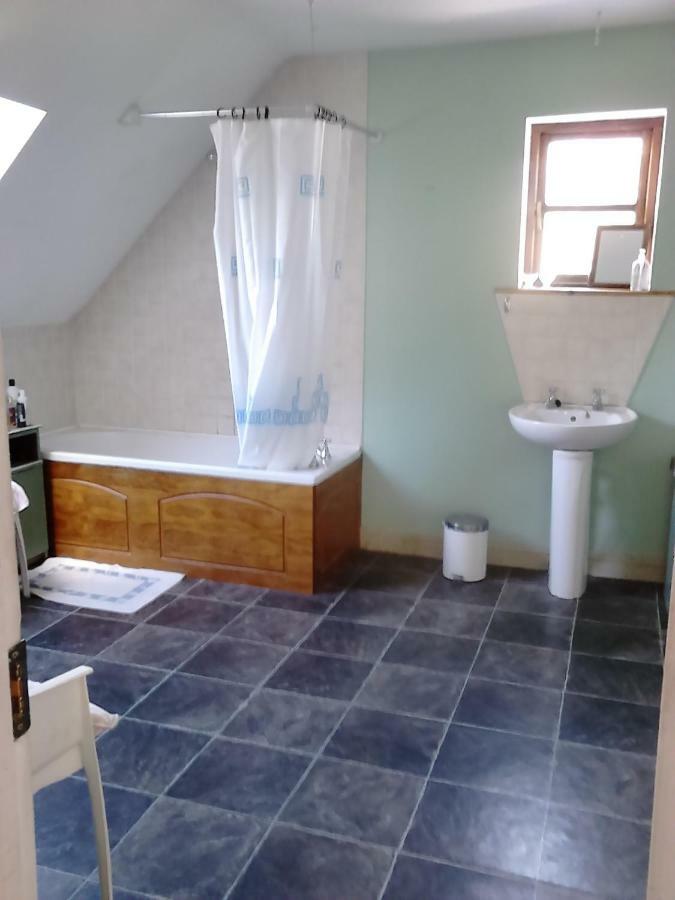 Harmony Hall Veganic * Kilkenny