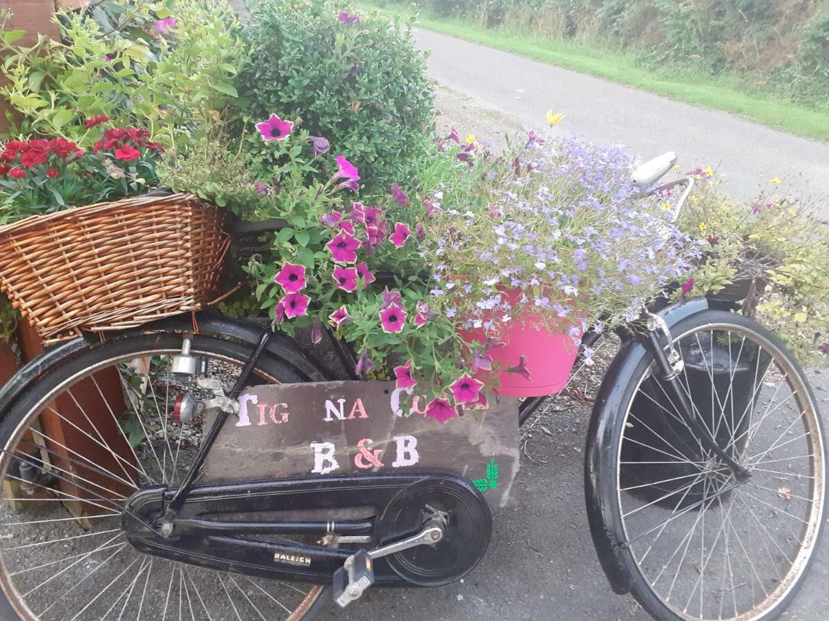Tig Na Coille Country House Kilkenny