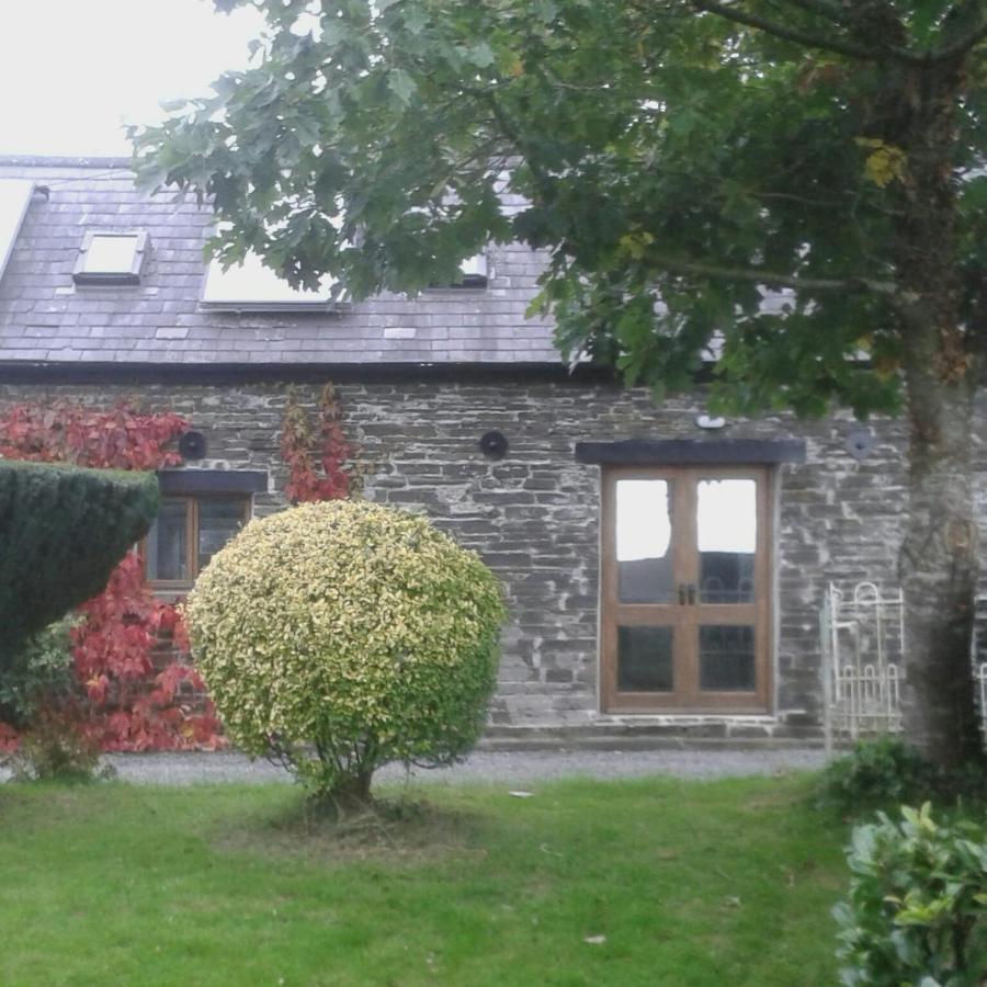Lofty House Holiday home Kilkenny