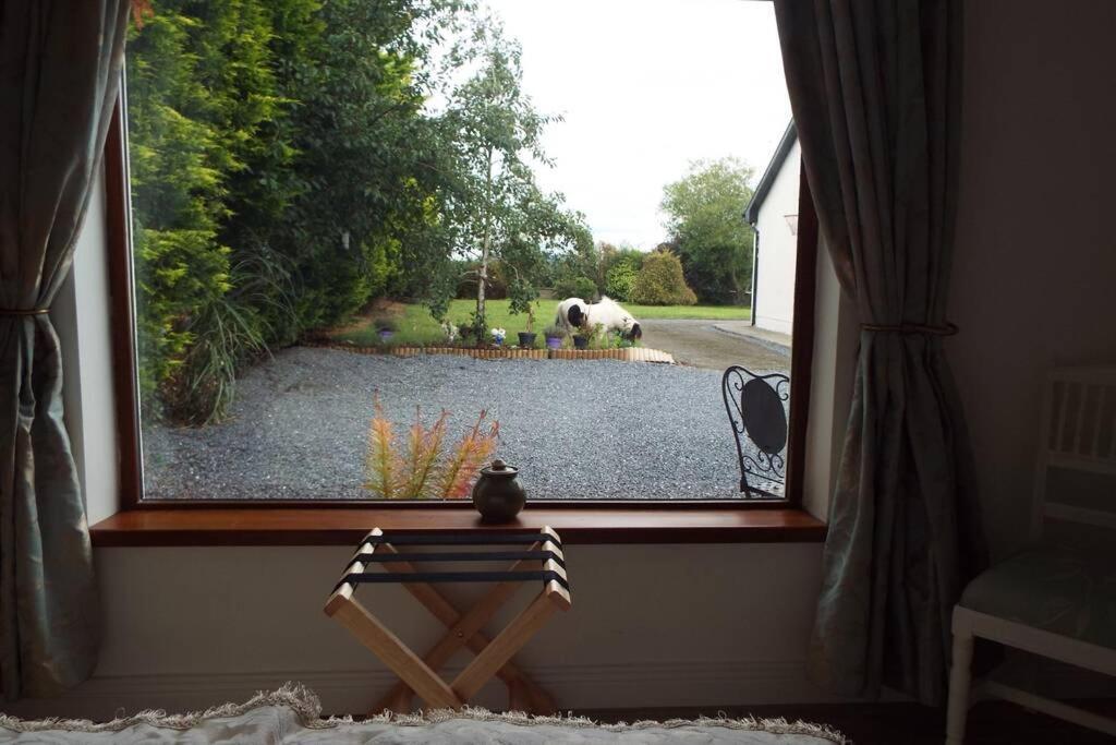 Self Catering Family In Apartment Kilkenny