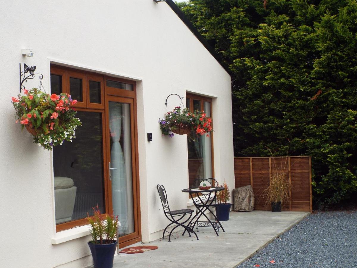 Apartment Self Catering Family In Kilkenny
