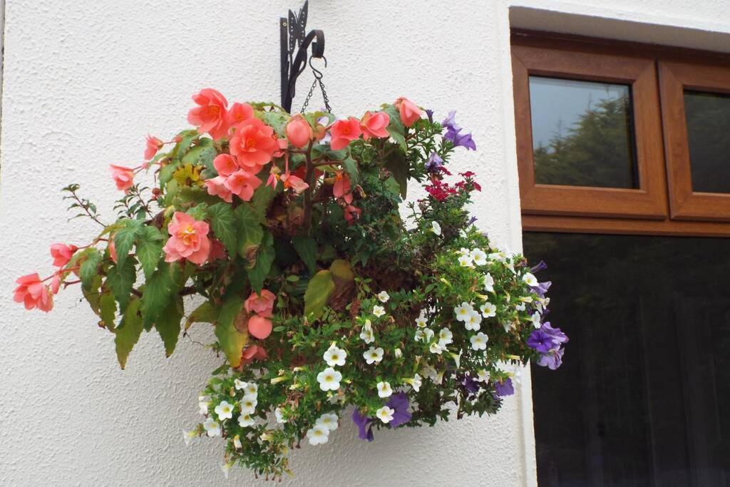 Self Catering Family In Kilkenny