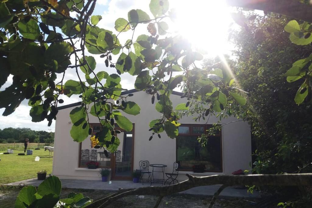 Self Catering Family In * Kilkenny
