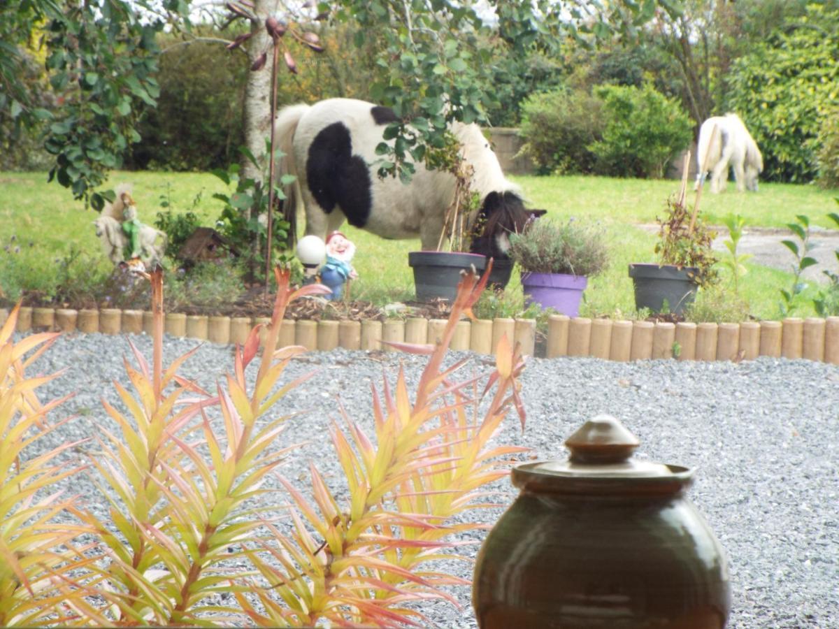 Self Catering Family In * Kilkenny